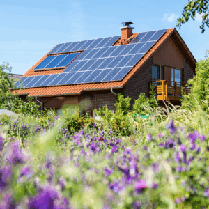 solar repair